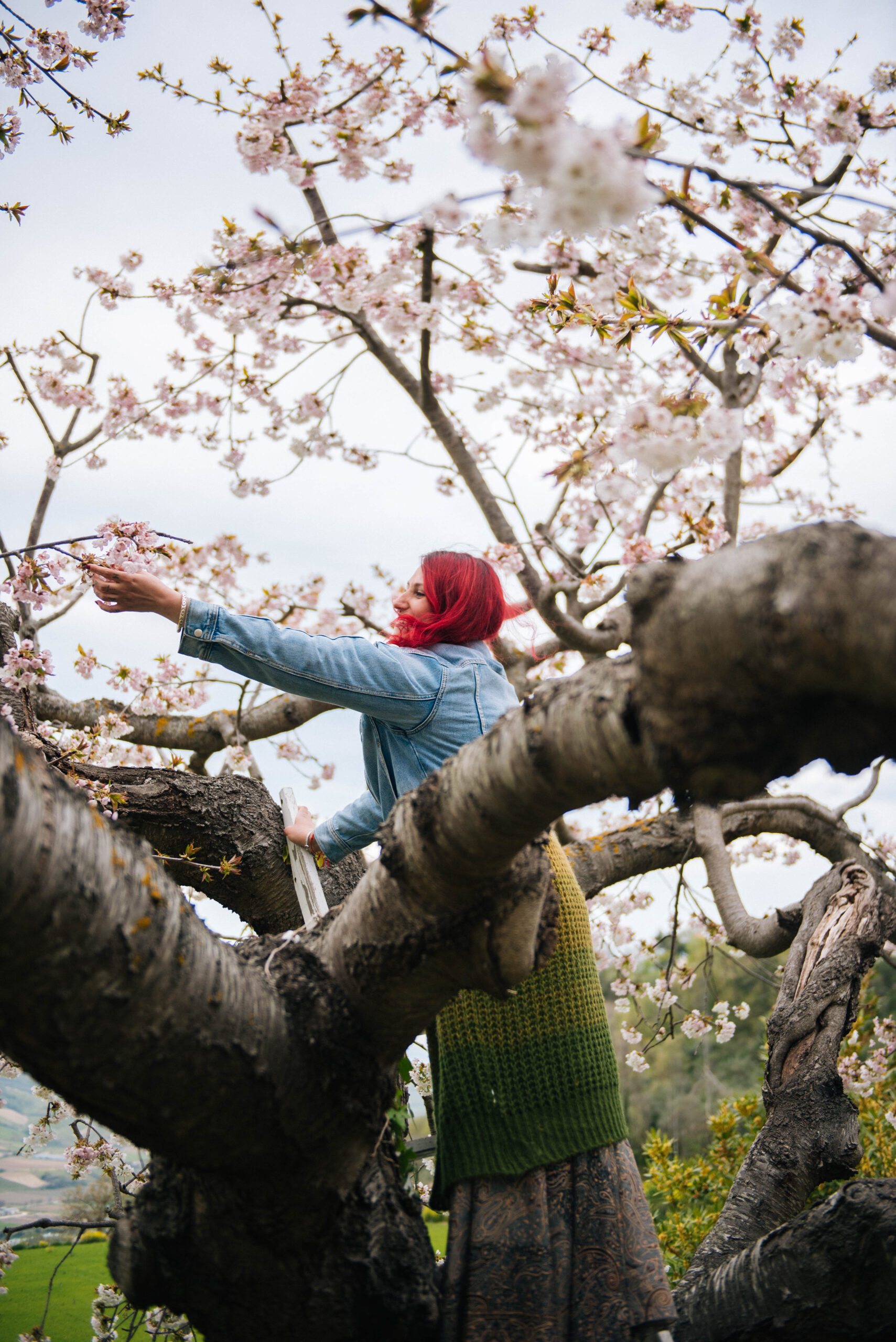 Onorare il lignaggio delle Antenate