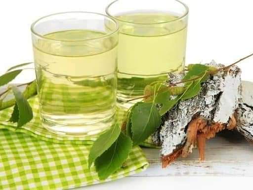 Sostenere gli inizi: la Betulla 💚